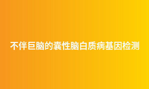 不伴巨脑的囊性脑白质病基因检测