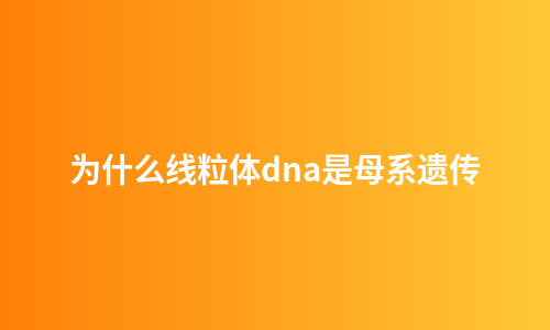 为什么线粒体dna是母系遗传