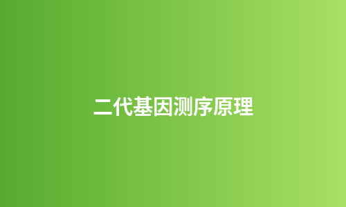 二代基因测序原理