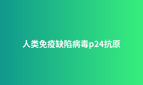 人类免疫缺陷病毒p24抗原