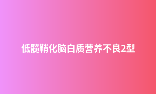 低髓鞘化脑白质营养不良2型