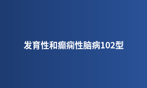 发育性和癫痫性脑病102型