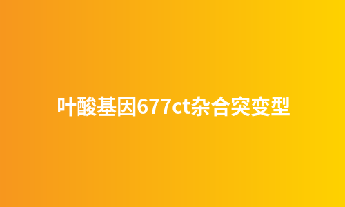 叶酸基因677ct杂合突变型