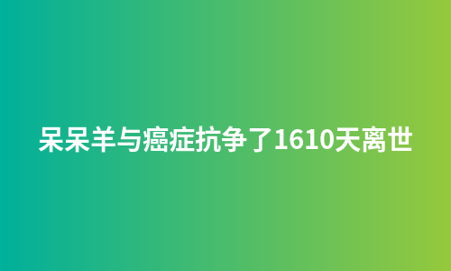 呆呆羊与癌症抗争了1610天离世