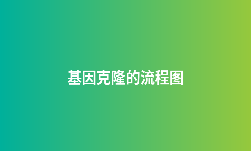 基因克隆的流程图