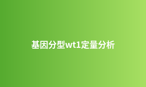 基因分型wt1定量分析