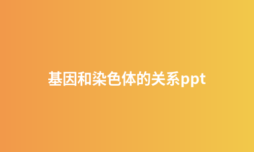 基因和染色体的关系ppt
