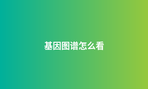 基因图谱怎么看
