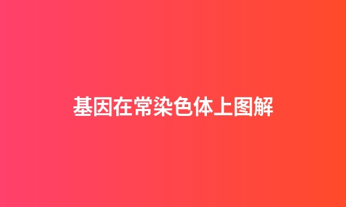 基因在常染色体上图解