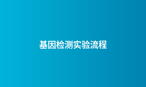 基因检测实验流程