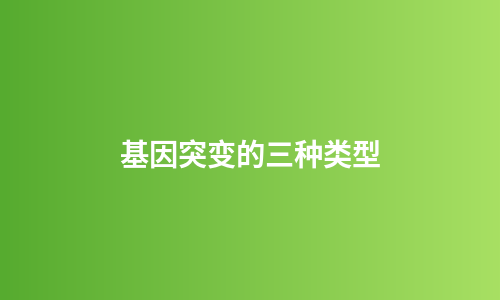 基因突变的三种类型