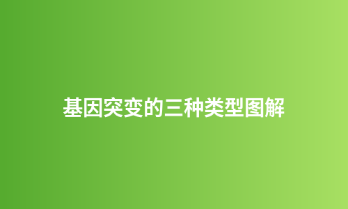 基因突变的三种类型图解