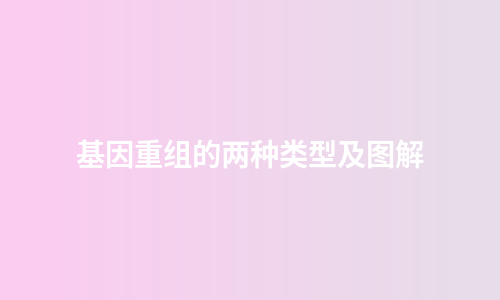 基因重组的两种类型及图解