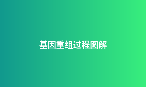 基因重组过程图解