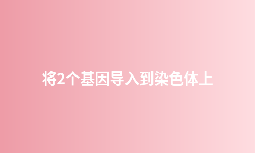 将2个基因导入到染色体上