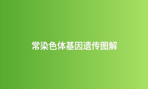 常染色体基因遗传图解