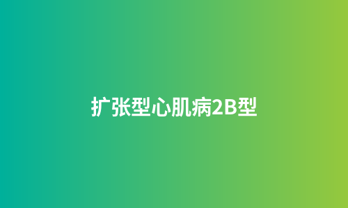 扩张型心肌病2B型