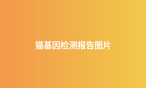 猫基因检测报告图片