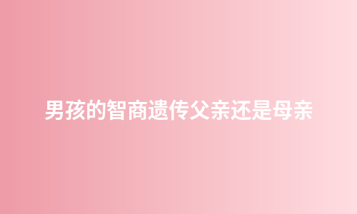 男孩的智商遗传父亲还是母亲