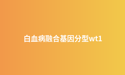 白血病融合基因分型wt1