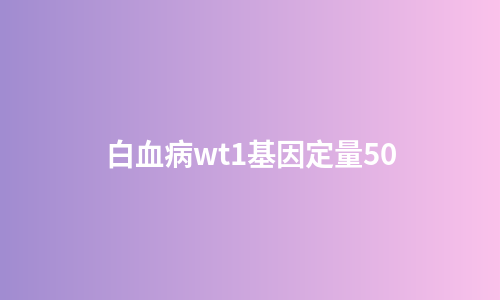 白血病wt1基因定量50