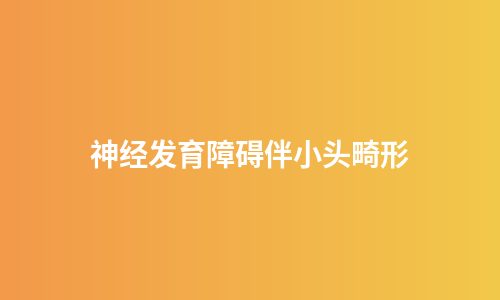 神经发育障碍伴小头畸形