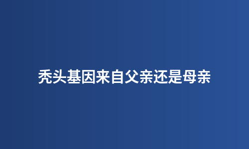秃头基因来自父亲还是母亲