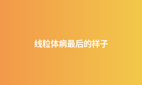 线粒体病最后的样子