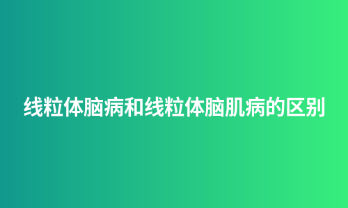 线粒体脑病和线粒体脑肌病的区别