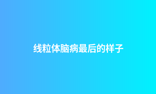 线粒体脑病最后的样子