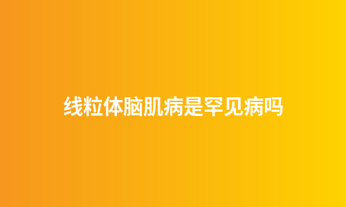 线粒体脑肌病是罕见病吗