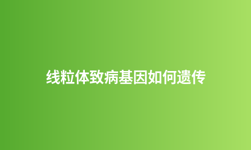 线粒体致病基因如何遗传
