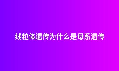 线粒体遗传为什么是母系遗传