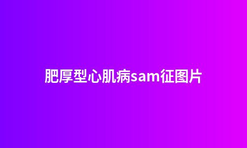 肥厚型心肌病sam征图片