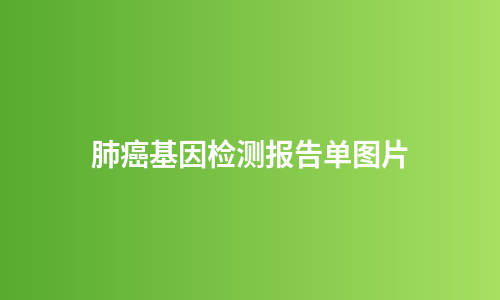 肺癌基因检测报告单图片