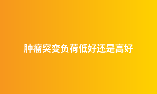 肿瘤突变负荷低好还是高好