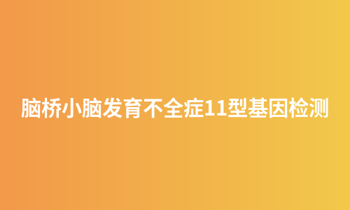脑桥小脑发育不全症11型基因检测