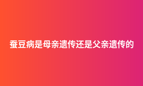 蚕豆病是母亲遗传还是父亲遗传的