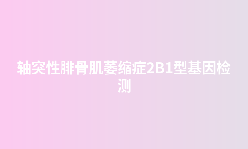 轴突性腓骨肌萎缩症2B1型基因检测