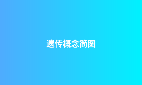 遗传概念简图