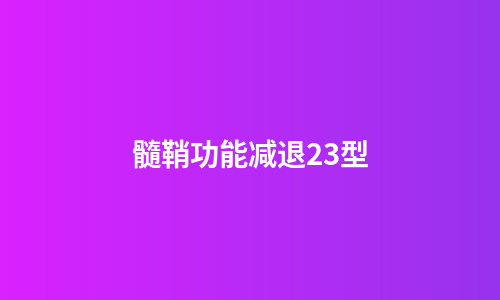髓鞘功能减退23型