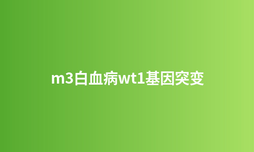 m3白血病wt1基因突变