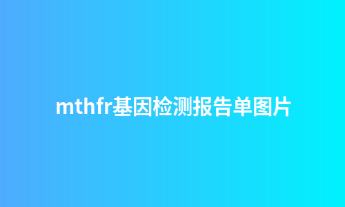 mthfr基因检测报告单图片