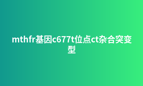 mthfr基因c677t位点ct杂合突变型