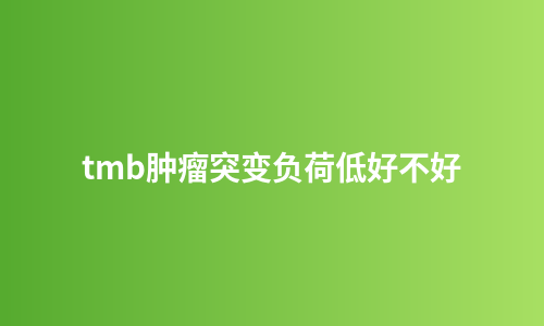 tmb肿瘤突变负荷低好不好