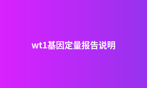 wt1基因定量报告说明