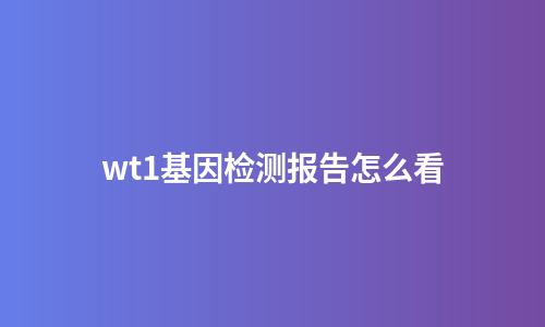 wt1基因检测报告怎么看
