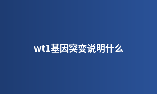wt1基因突变说明什么