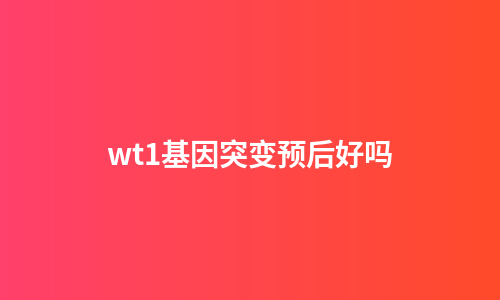 wt1基因突变预后好吗