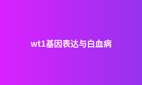 wt1基因表达与白血病